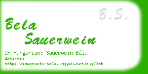 bela sauerwein business card
